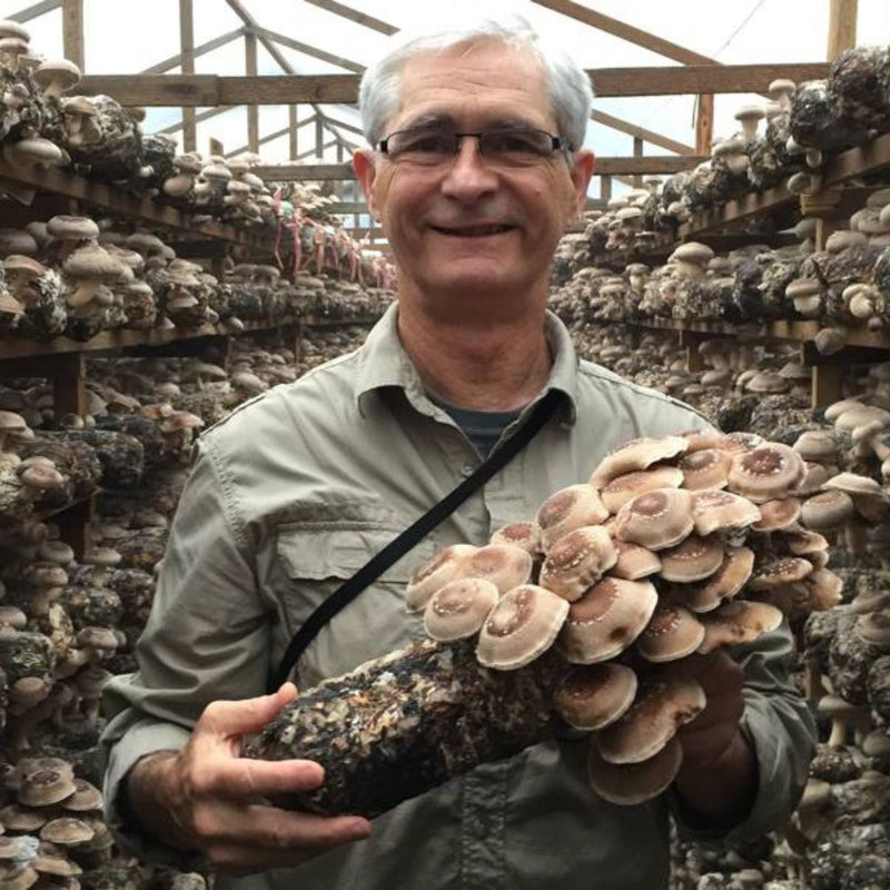 Behind The Pour: Learn How RIVR's Mushrooms Go From Forest To Formula