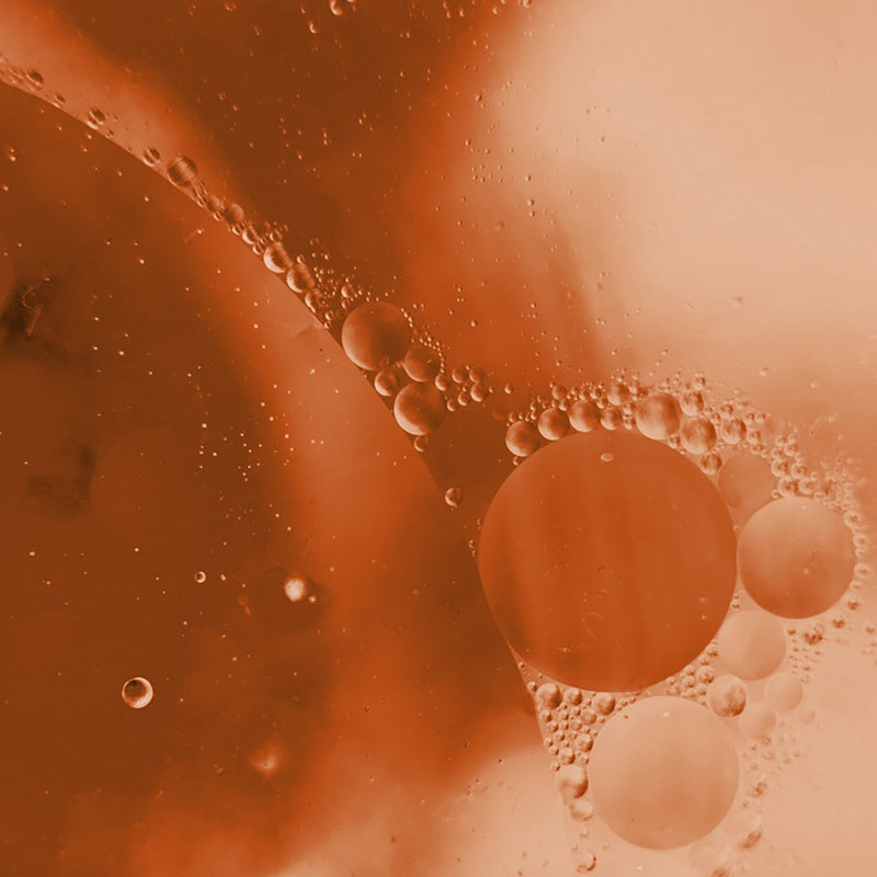 Behind The Pour: Learn How RIVR'S THC Goes from Plant to Pour