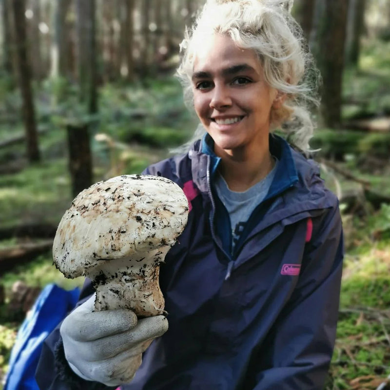 RIVR’s Guide to Mushroom Foraging