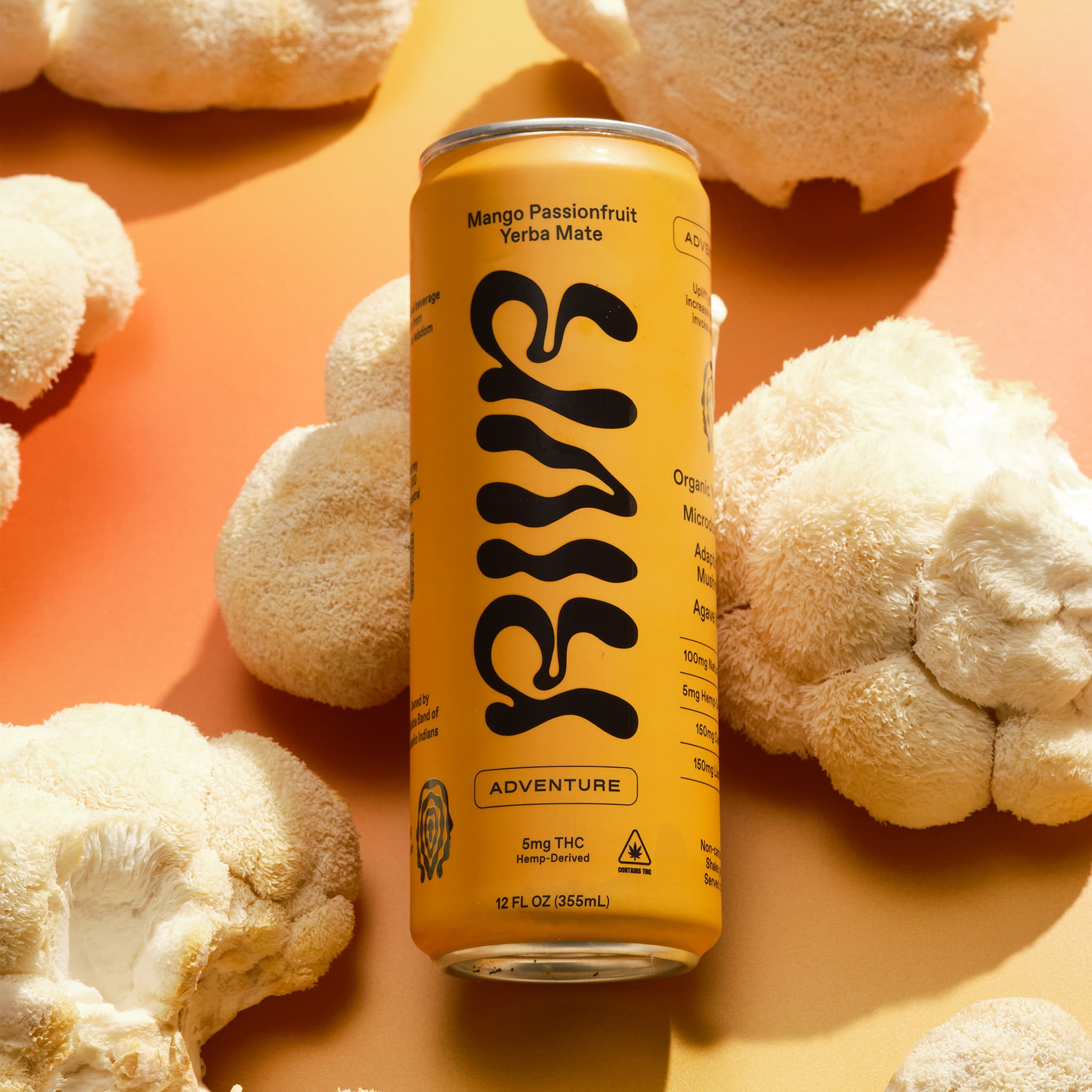 Adventure Mango Passionfruit Yerba Mate – RIVR