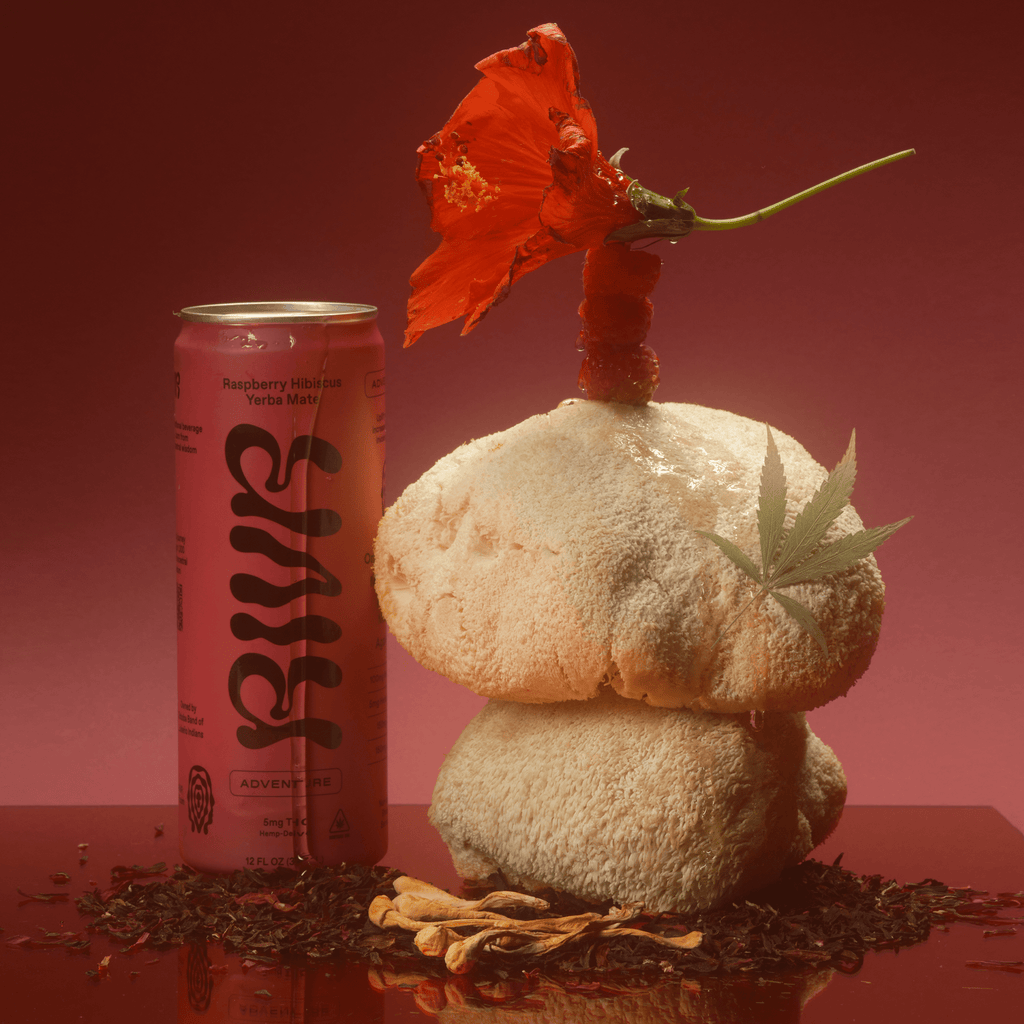 ADVENTURE Raspberry Hibiscus Yerba Mate