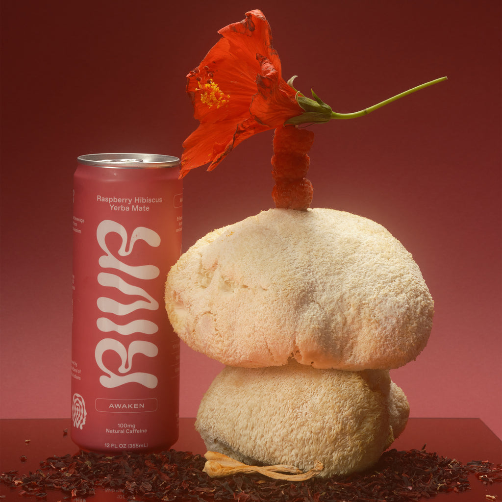 AWAKEN Raspberry Hibiscus Yerba Mate